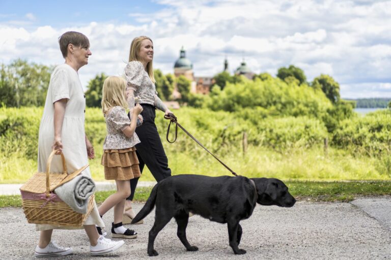 BnB omgivning 1 scaled 1