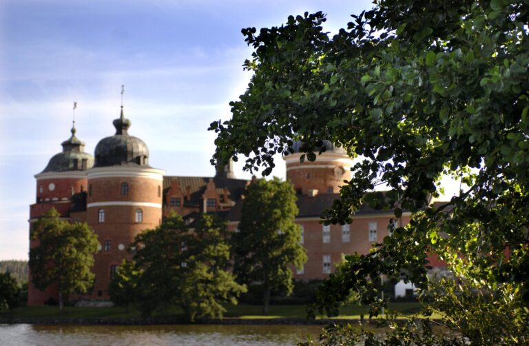 Gripsholm omgivning 1 scaled 1