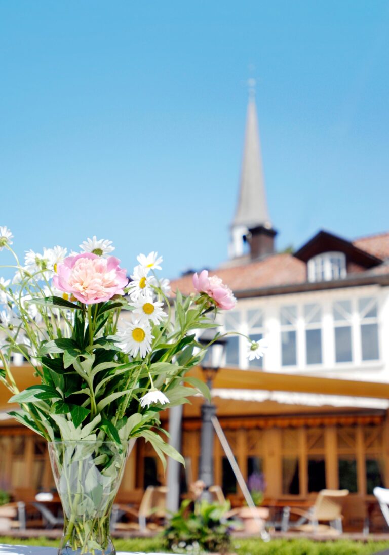 Gripsholm sommar 4 1 scaled 1